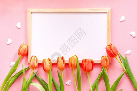 春日公寓在粉红色背景上有橙色的郁金香复制空间用图片