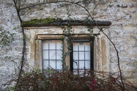 石头立面和藤蔓植物上的木框窗图片