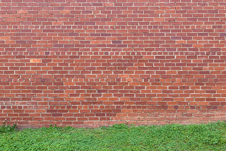 花园小径旁的红砖墙图片素材