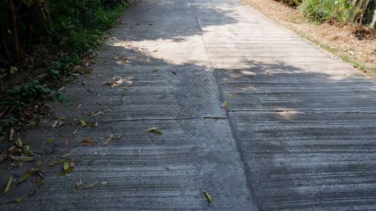 老水泥街道和干叶图片