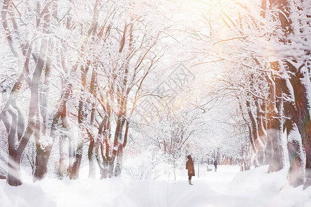 冬天风景雪下的森背景图片