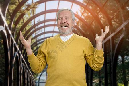 快乐的老人在公园里举起手来祖父的肖像在温室背图片