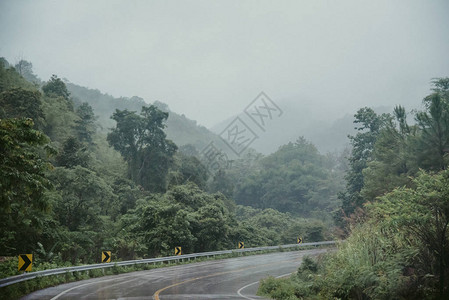 雾山森林中的福吉路美丽的自然足迹Pictur背景