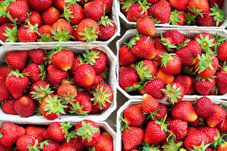 红熟汁新鲜有机草莓包装在环保纸箱中图片