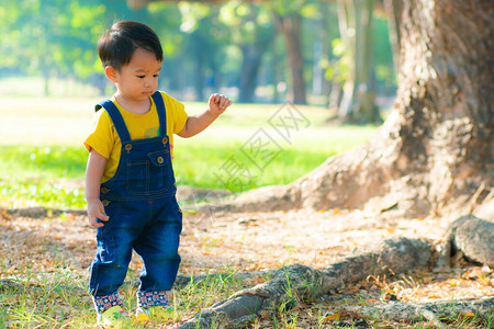 可爱的亚洲男孩在树林公园玩耍日出清晨自然图片