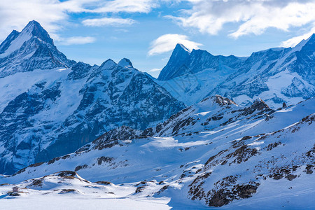 在瑞士Grindelwald滑雪度假胜地瑞士阿尔卑斯山第一山峰上发现的冬季风景图片