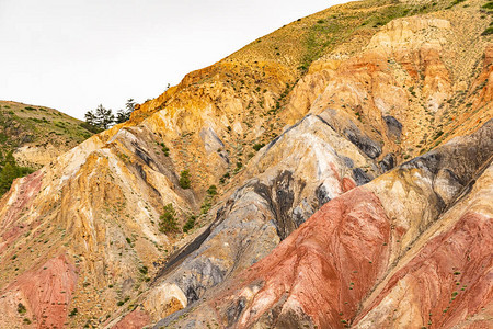 山谷中的彩色山丘在炎热的夏日干红沙丘干旱图片