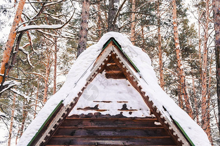 冬季森林木屋顶积雪降雪和寒背景图片