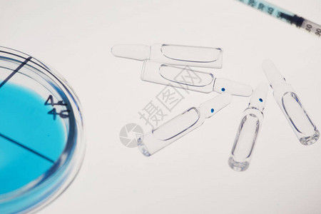 白色表面带标本的培养皿带药物的玻璃安瓿和注射器的水平图片