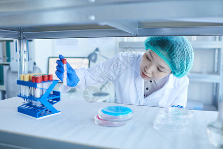 横向中近拍亚洲年轻女实验室工人用试管标本取出试管的图片