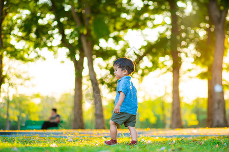快乐的小孩男孩第一次在野外市公园绿色草地图片