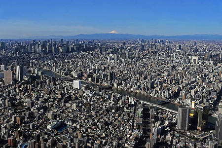 从东京晴空塔眺望东京市中心和富士山图片