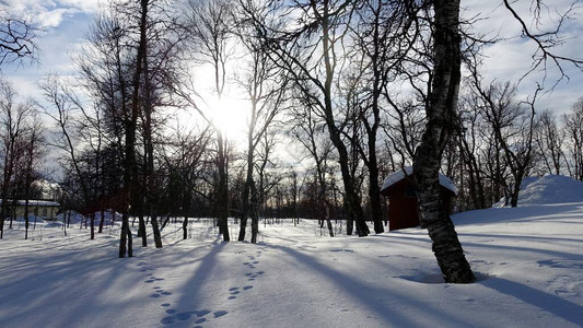 今年冬天在瑞典北部一个小镇中心图片