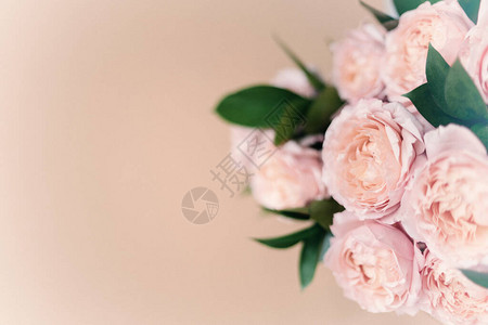 许多粉红色牡丹的优雅花束关闭适合任何假期的美丽花朵许多美丽图片