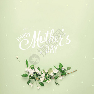 最小的概念母亲节在柔和的绿色背景上用苹果树的花朵在框架中刻字母亲节快图片