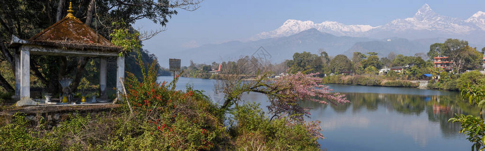 Machapuchare和Annapurna分布于尼泊尔波克拉的图片