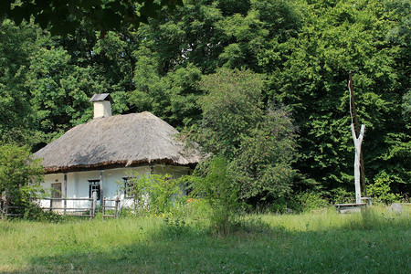 旧乌克兰小屋顶盖有Reed屋顶图片