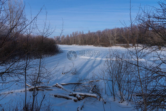 美丽的冬季景观湖岸覆盖着雪不同的树木图片