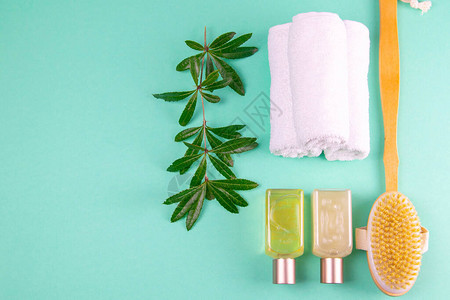 三条毛巾身体护理油绿色树枝和刷子站在绿色背景上图片