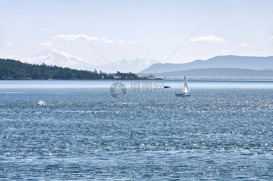 帆船在绿松石海水和山脉的背景下图片