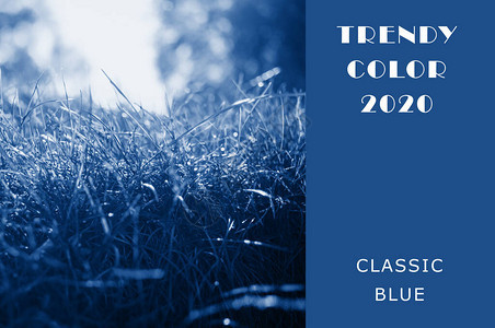 经典蓝色的新鲜草坪上的草时尚色彩中的多汁色调复制空间布局以进行设图片