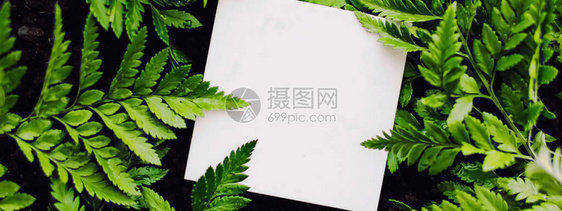 绿草背景空白卡品牌设计图片