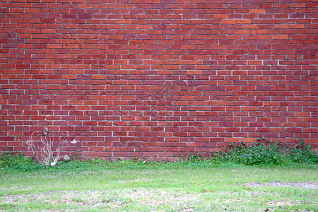有草的明亮的老红砖花园小径墙图片素材