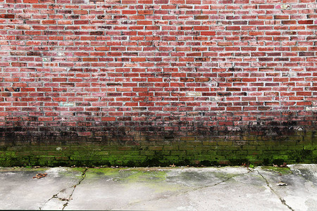 砖围墙图片