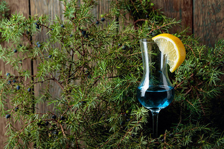 一杯用柠檬片装饰的蓝色杜松子酒蓝色杜松子酒和图片