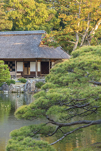 日本京都亚林山K图片