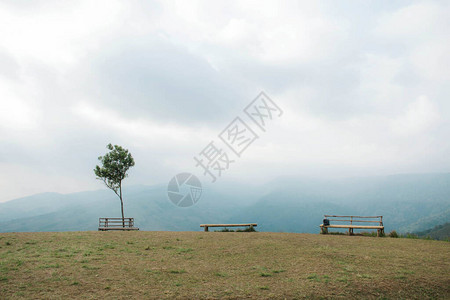 山上的树和竹座与孤独图片