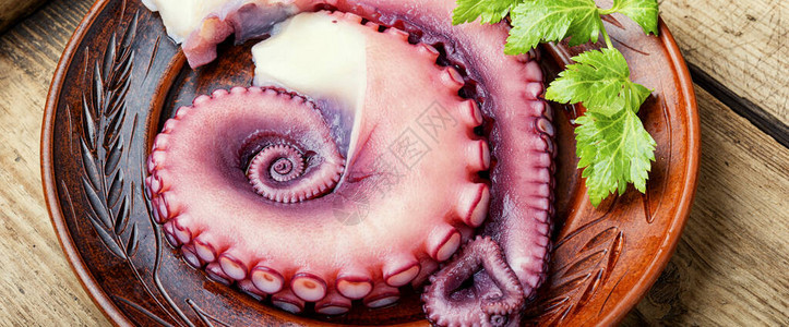 新鲜的原章鱼和盘子里的香料松开的章图片