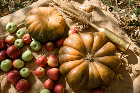 在公园的秋天装饰中南瓜和红苹果在秋天背景下躺在木箱里秋季图片