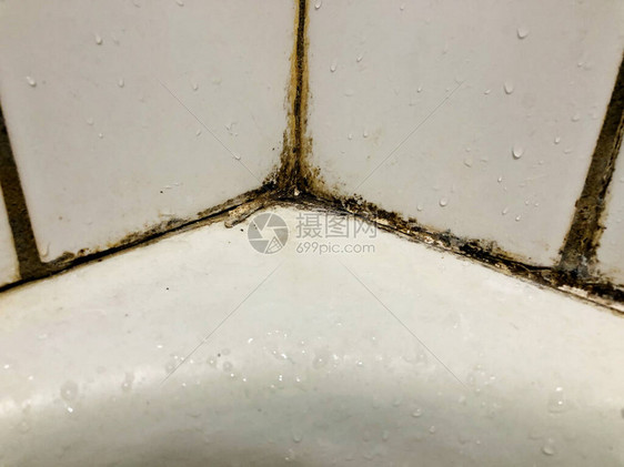 浴室淋浴瓷砖上长出黑色霉菌图片
