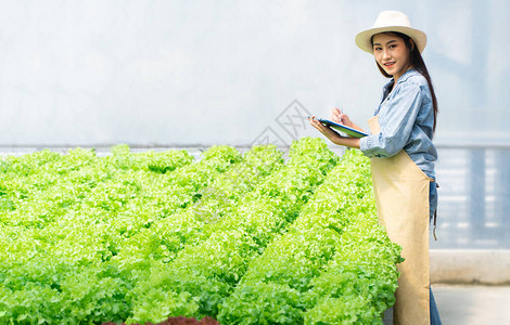 亚洲农妇拿着剪贴板和生蔬菜沙拉检查温室水培农场系统的质量水光温控环境的概图片