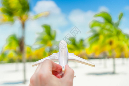 以奇异海滩和棕榈树背景为背景的飞机小型白图片