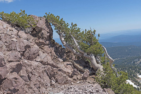 加利福尼亚拉斯森火山公园风山边的幸存图片