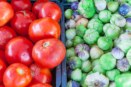 美国华盛顿农贸市场黑色塑料食品箱上的番茄和红番茄图片