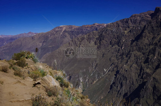 在CruzDelCondor附近的Colca峡谷观点图片