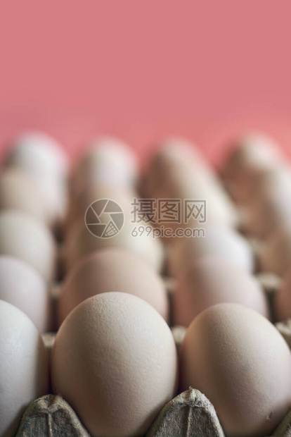在纸板的鸡蛋顶视图农场的新鲜鸡蛋有机鸡蛋生产鸡蛋产业待售鸡蛋图片