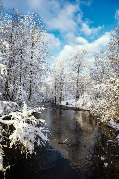 冬季风景与Vizla河图片