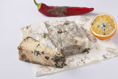 含霉菌的腐烂食品橙胡椒硬奶酪和白图片