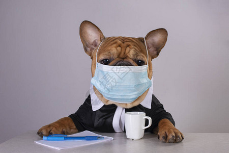 在大流行病期间在工作场所用医疗面具遮护图片