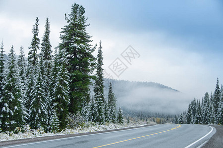 冬季冰雪沥青路前往山区的公路旅行在树林中筑路图片