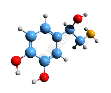 去甲肾上腺素骨架式的3D图像去甲肾上腺素或去甲肾上腺素在白色背景下分离的图片