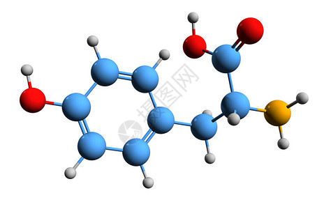 酪氨酸骨架式的3D图像白色背景下分离的4羟基苯丙氨酸的图片