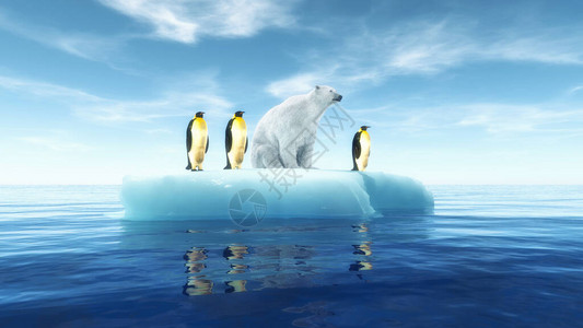 北极熊企鹅北极熊和企鹅在冰山的一块上全球升温概念这背景