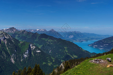 从Schynige高原对瑞士阿尔卑图片
