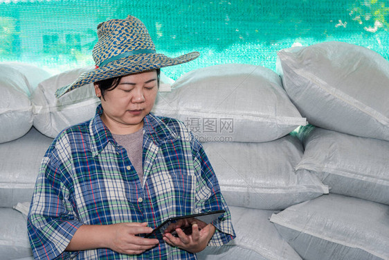亚洲女聪明的农民学家很高兴在肥料堆肥厂使用有机肥料来自动物废的堆肥图片