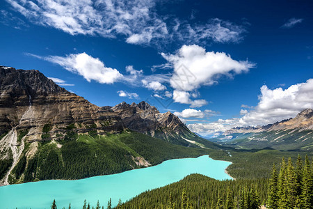 美丽的佩托湖加拿大艾伯塔图片